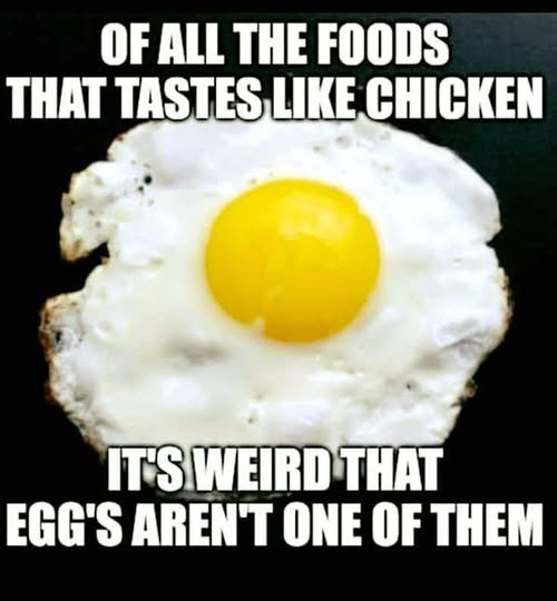 eggschicken.jpg