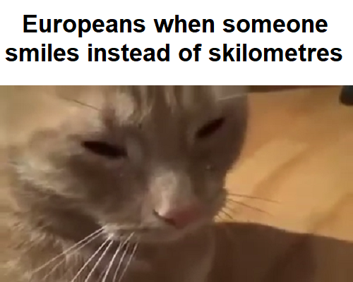 Europeans When Smiles Metric.png