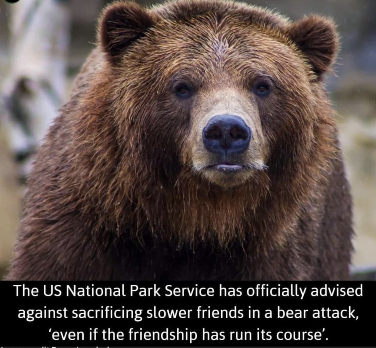 F4824A63-DFA8-481F-8AD0-3D6F83BF12DA.jpeg