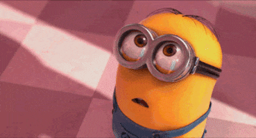 F7D42887-72E7-432E-9D2F-B0546ECCA43D.gif