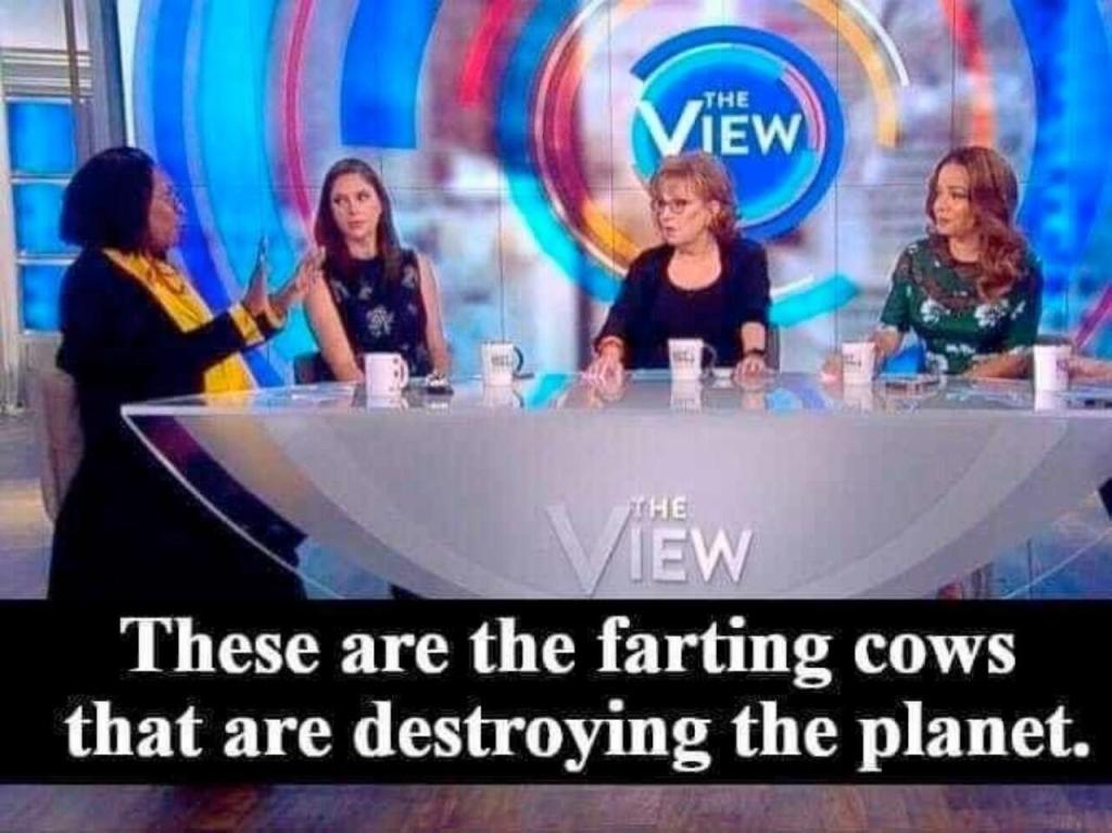 farting cows'.jpeg