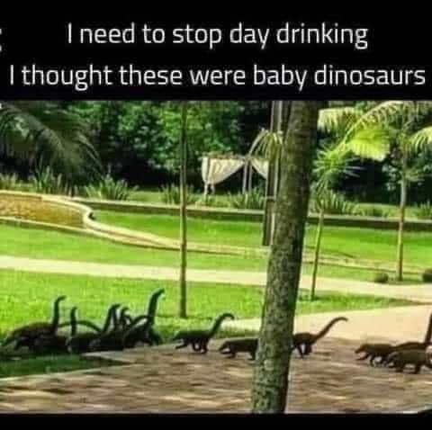 FB_IMG_1659638247246.jpg
