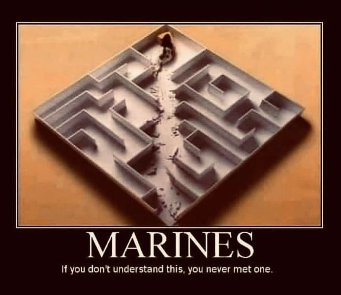FB_IMG_1751463455941[1].png