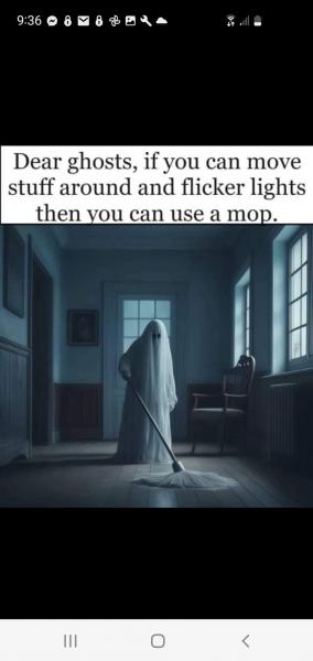 FB_IMG_1753485637336[1].jpg pf.jpg