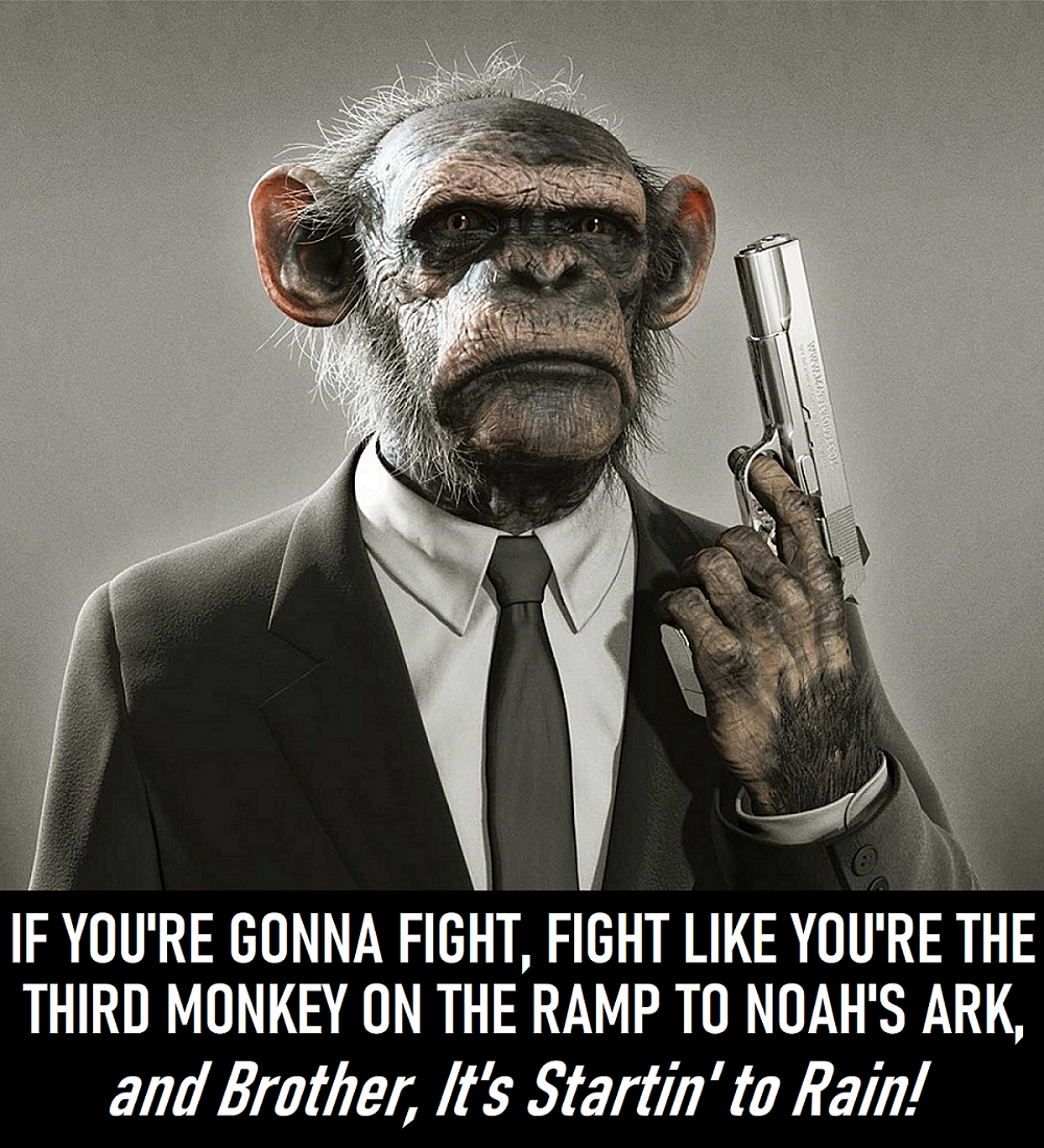 Fight Like 3rd Monkey Ramp Rain Med.png