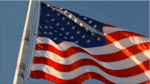 flag wave.gif