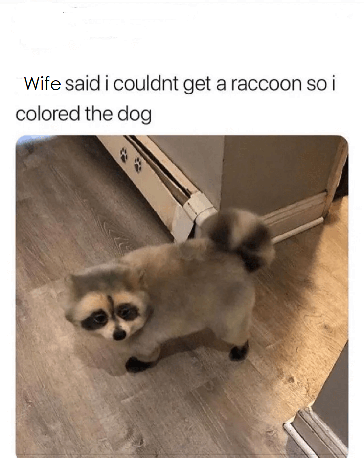 funny-memes-for-kids-Its-important-to-make-the-best-out-of-what-youve-got (1).pngsw.png