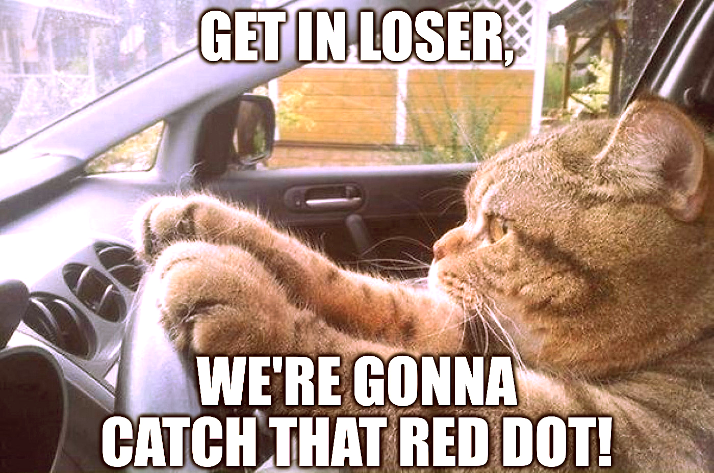 Get In Loser Catch Red Dot.png