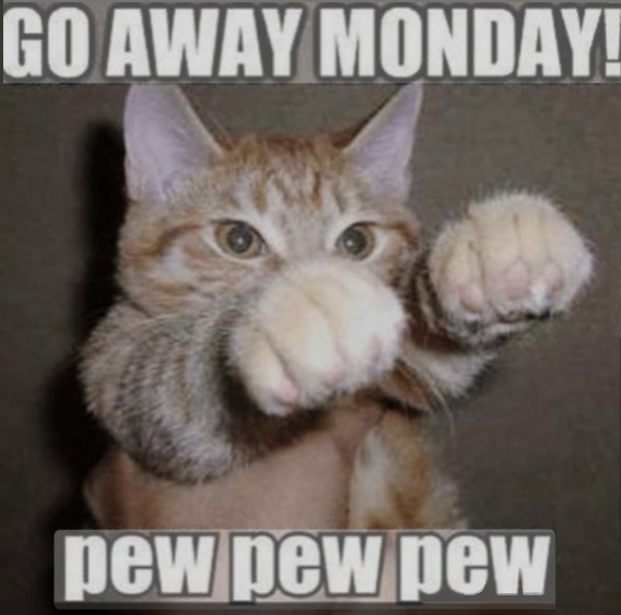 Go Away Monday Cat - Pew Pew Pew.png