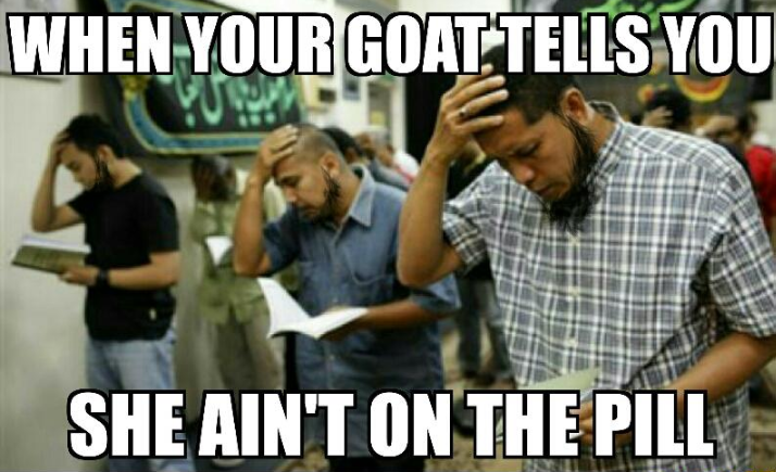 Goat aint on the pill.png
