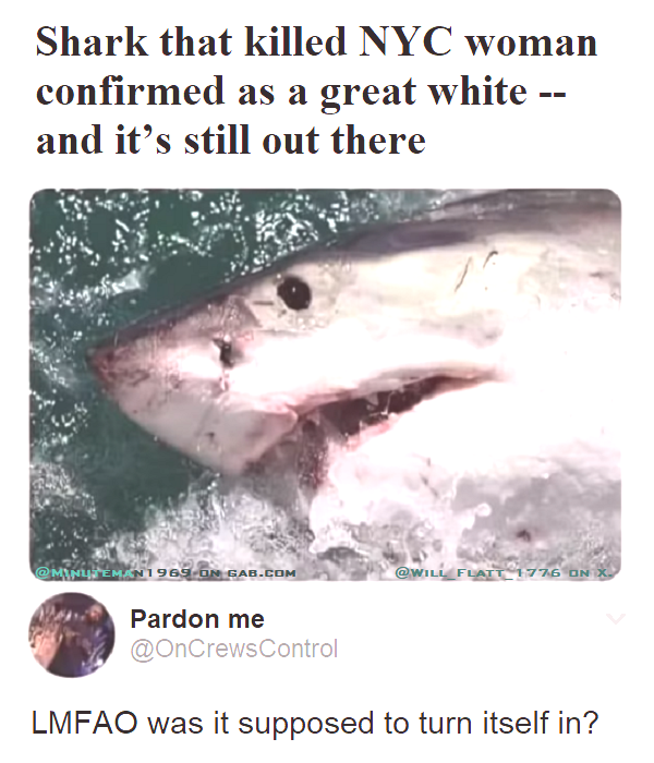 Great White Shark Turn Yourself In.png
