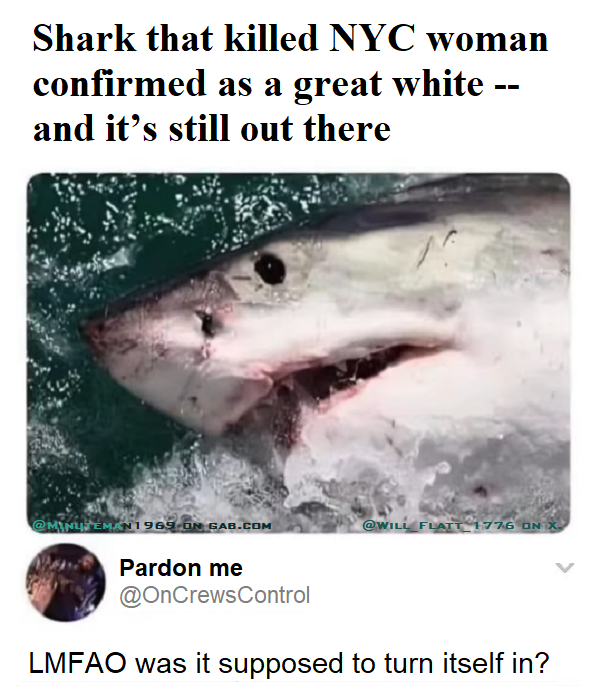 Great White Shark Turn Yourself In.png