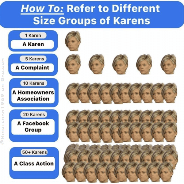 Group Taxonomy of Karens.png