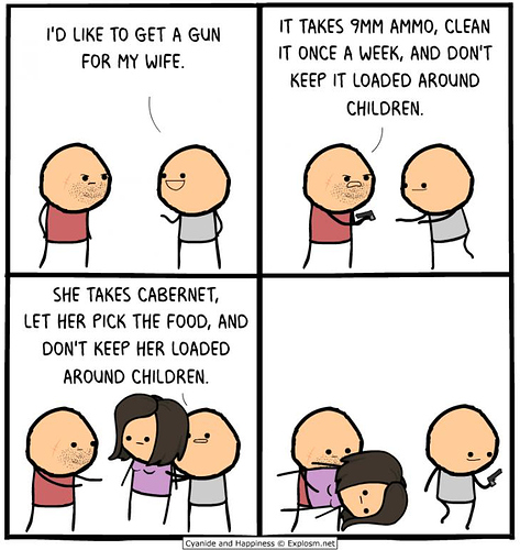 Gun for wife.jpeg