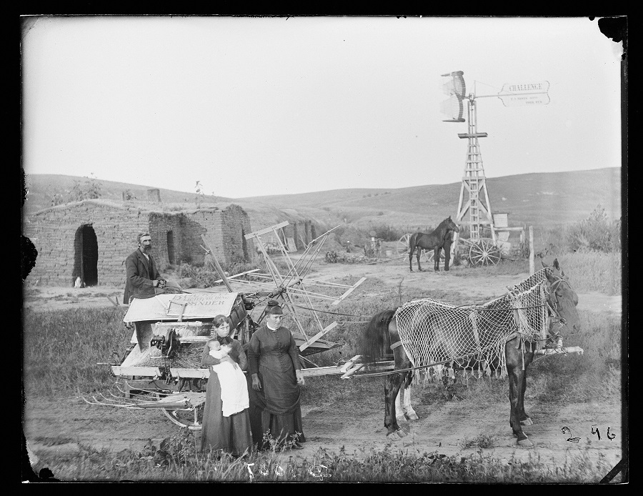 harvest fat 1886 (2).jpg