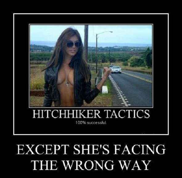 hitchhikers-would-know-better (1).jpegsw.jpeg