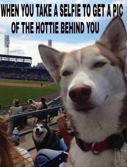 hottie.jpg