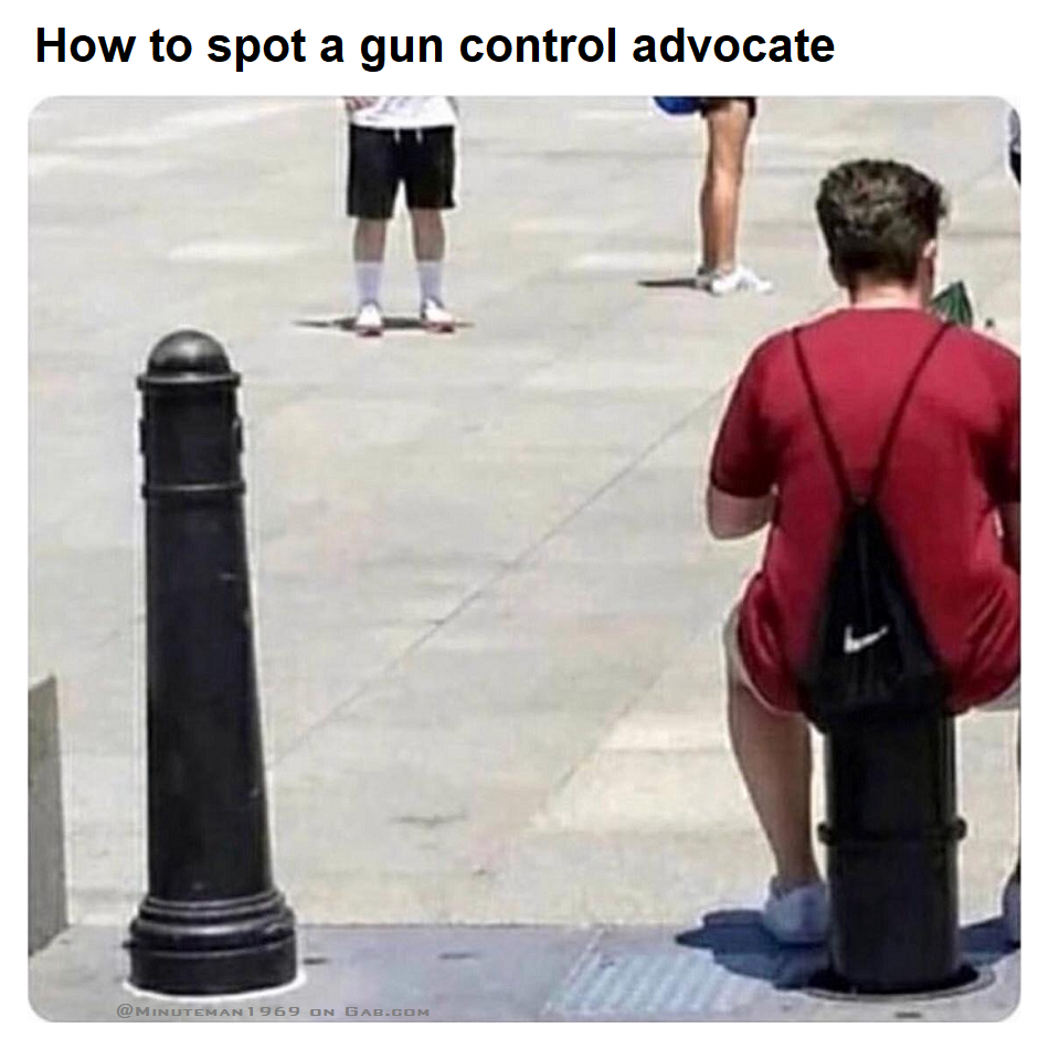 How To Spot Gun Controller.png