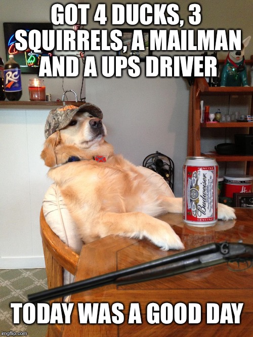Hunting Dog.jpg