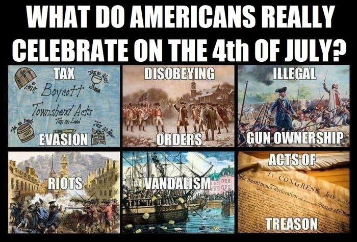 ID4 Independence Day What We Celebrate - Tax Evasion Disobeying Illegal Gun Ownership Riots Va...png