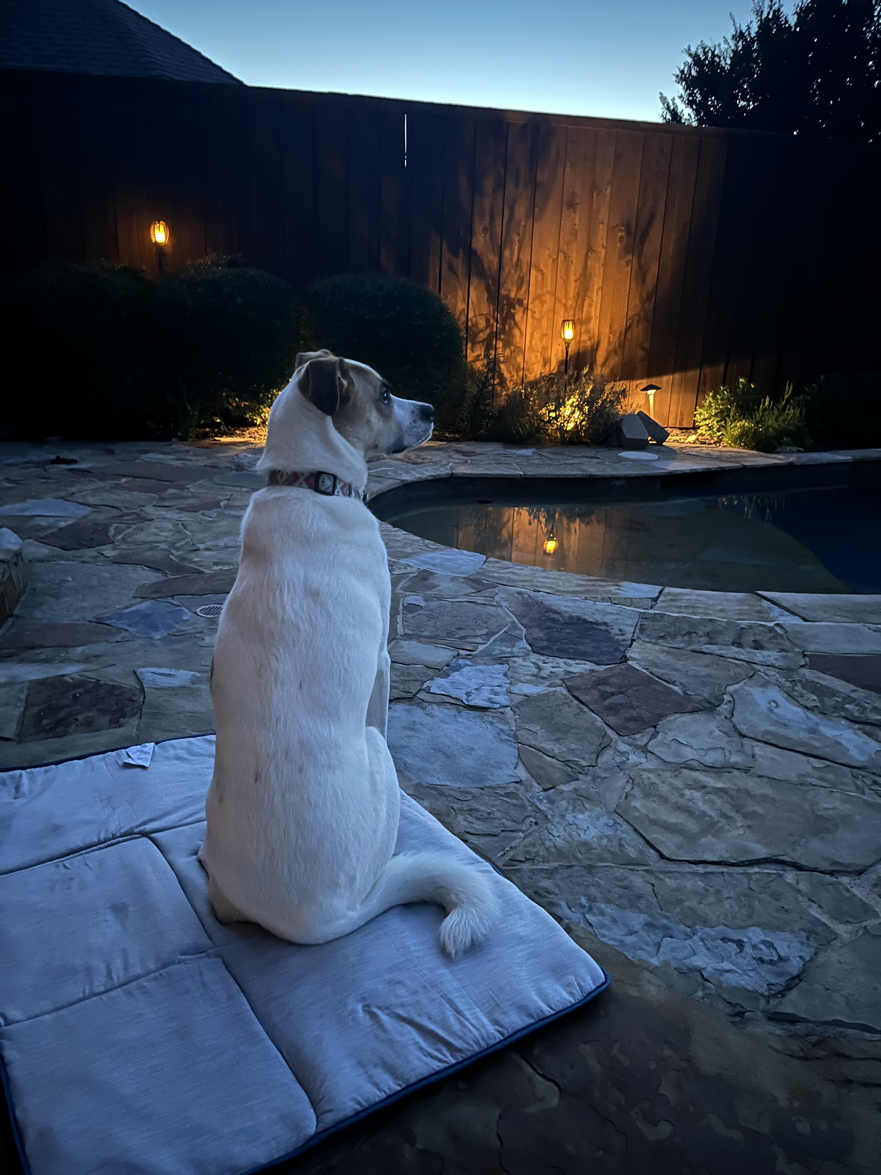 IMG_0321.jpeg