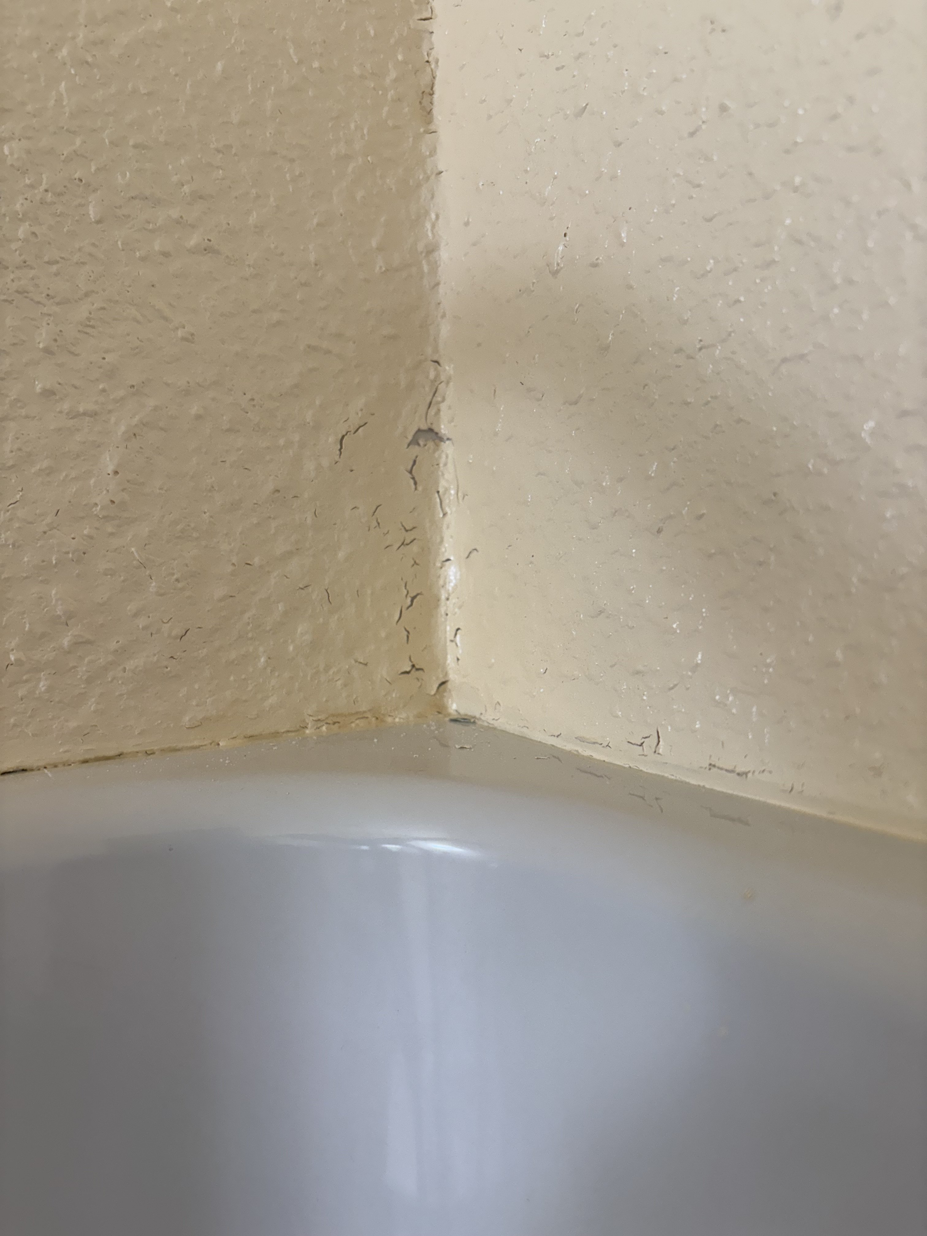 IMG_0363.jpeg