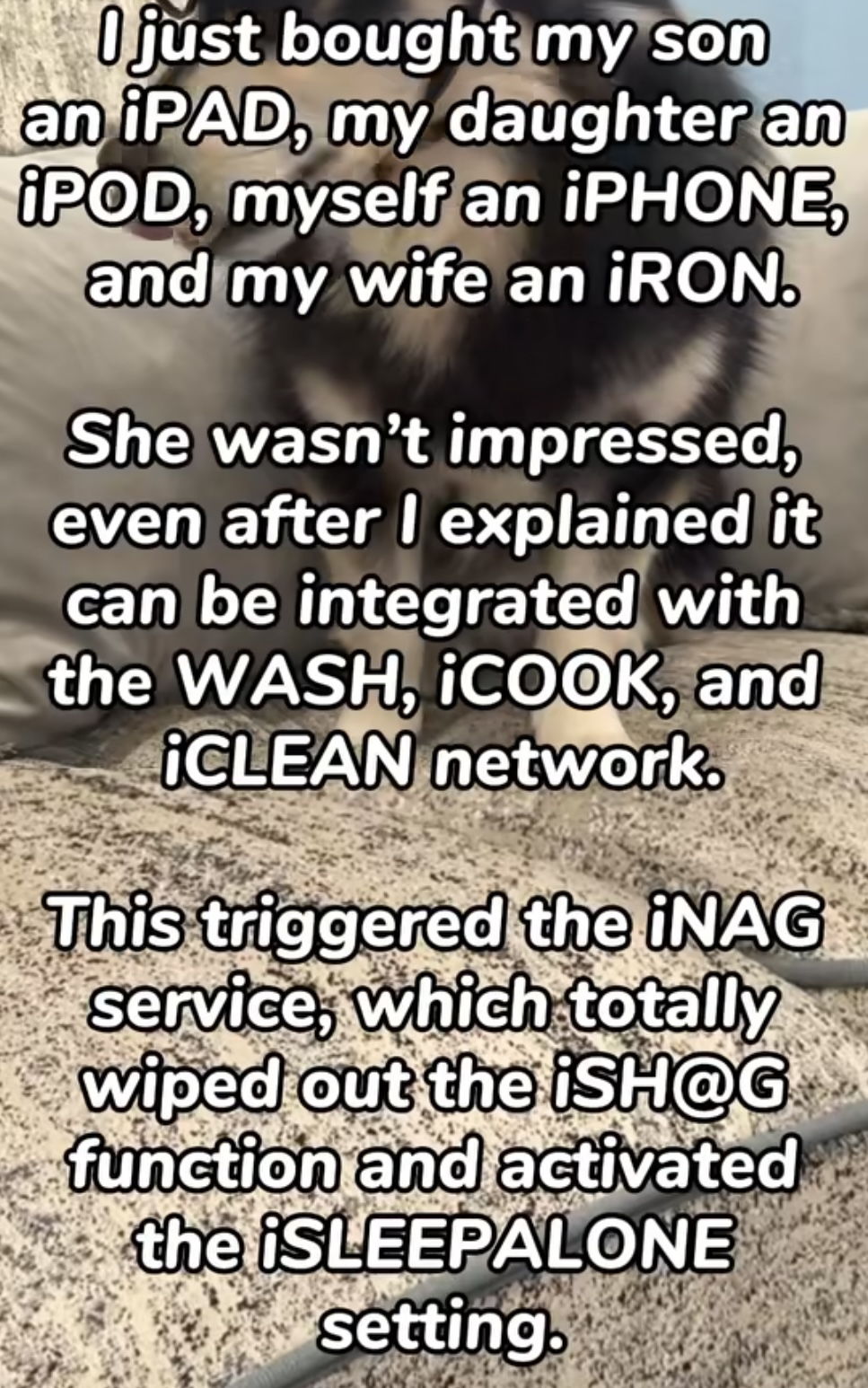 IMG_0431.jpeg
