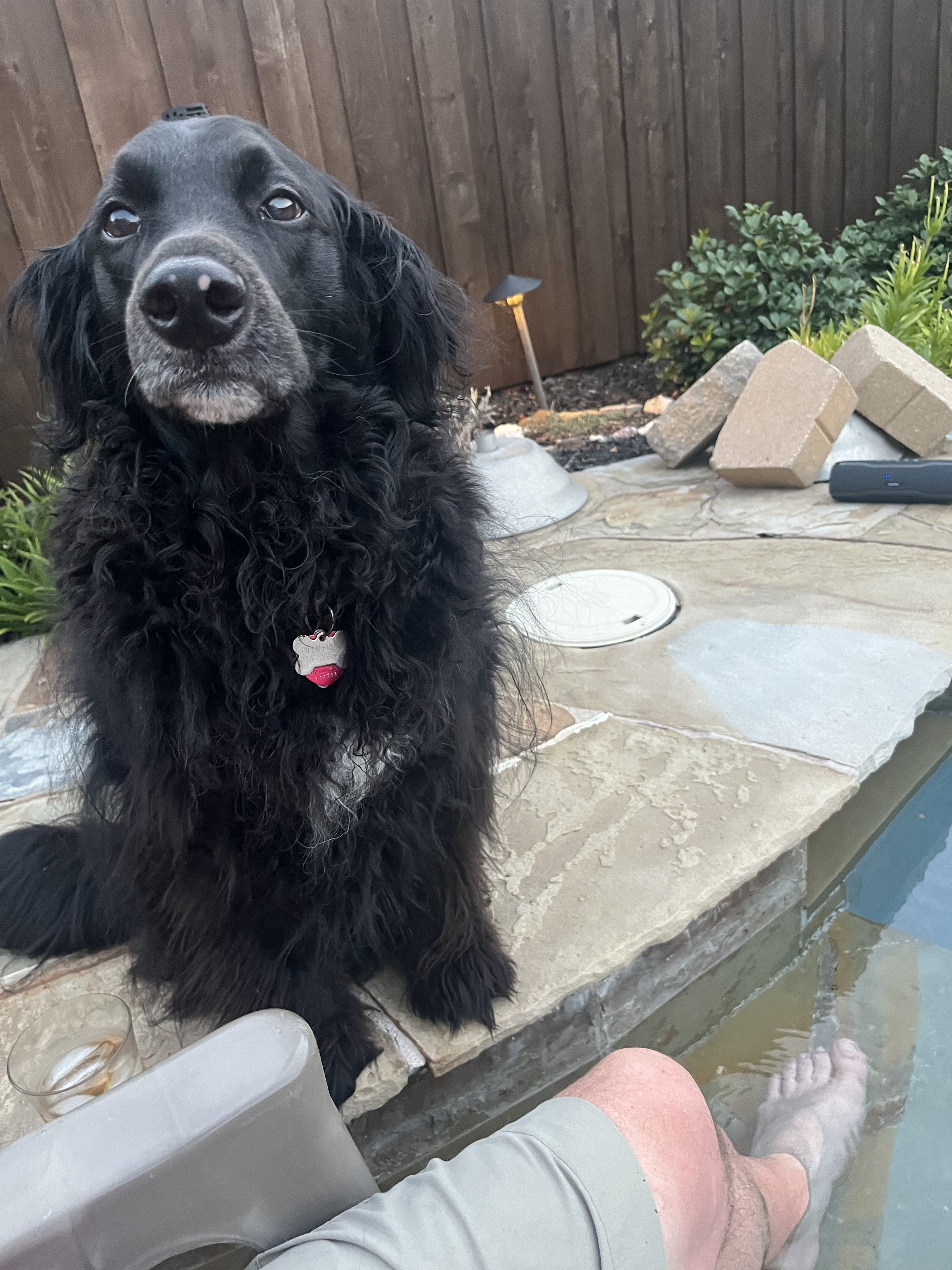 IMG_0575.jpeg