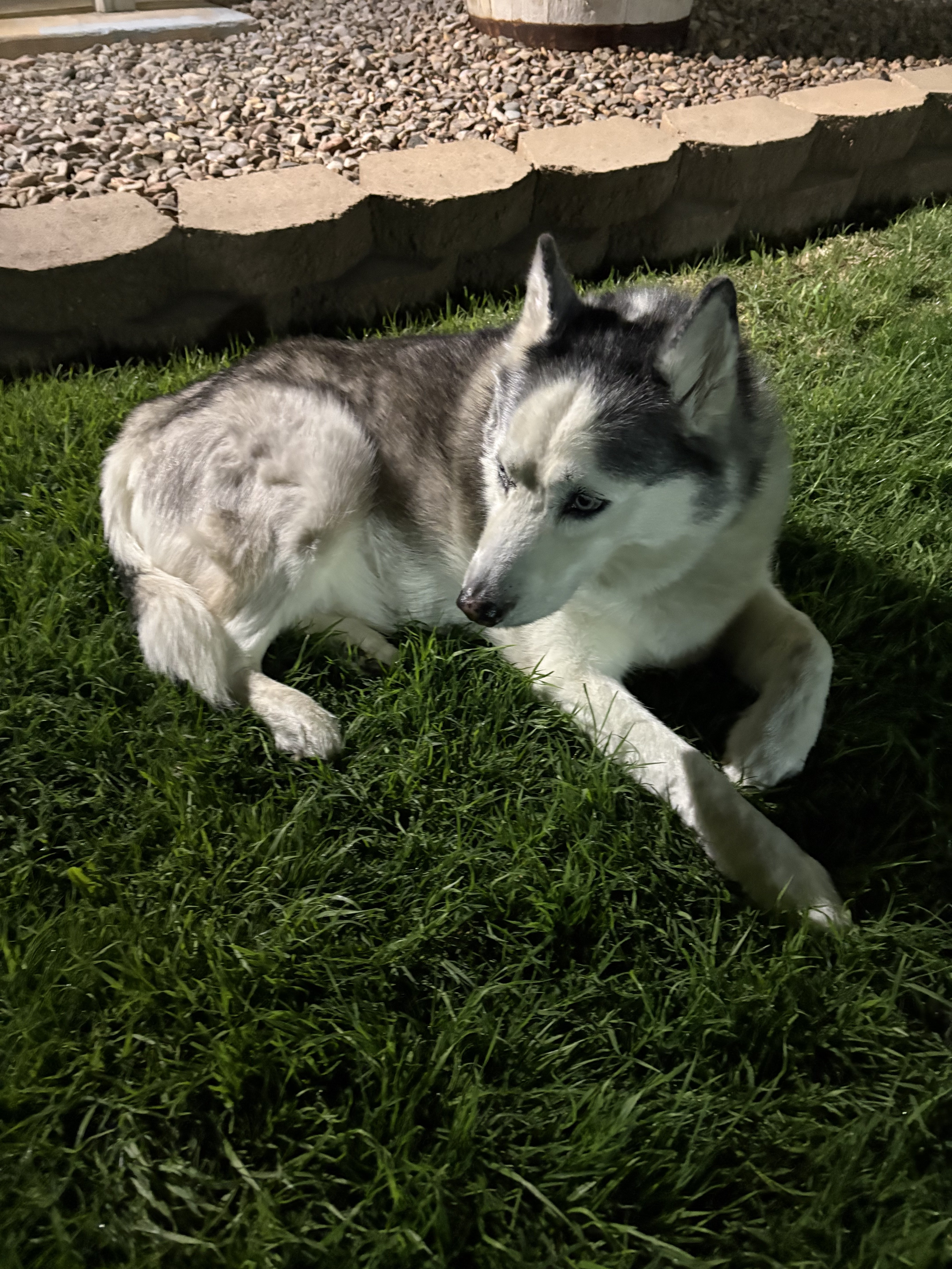 IMG_0830.jpeg