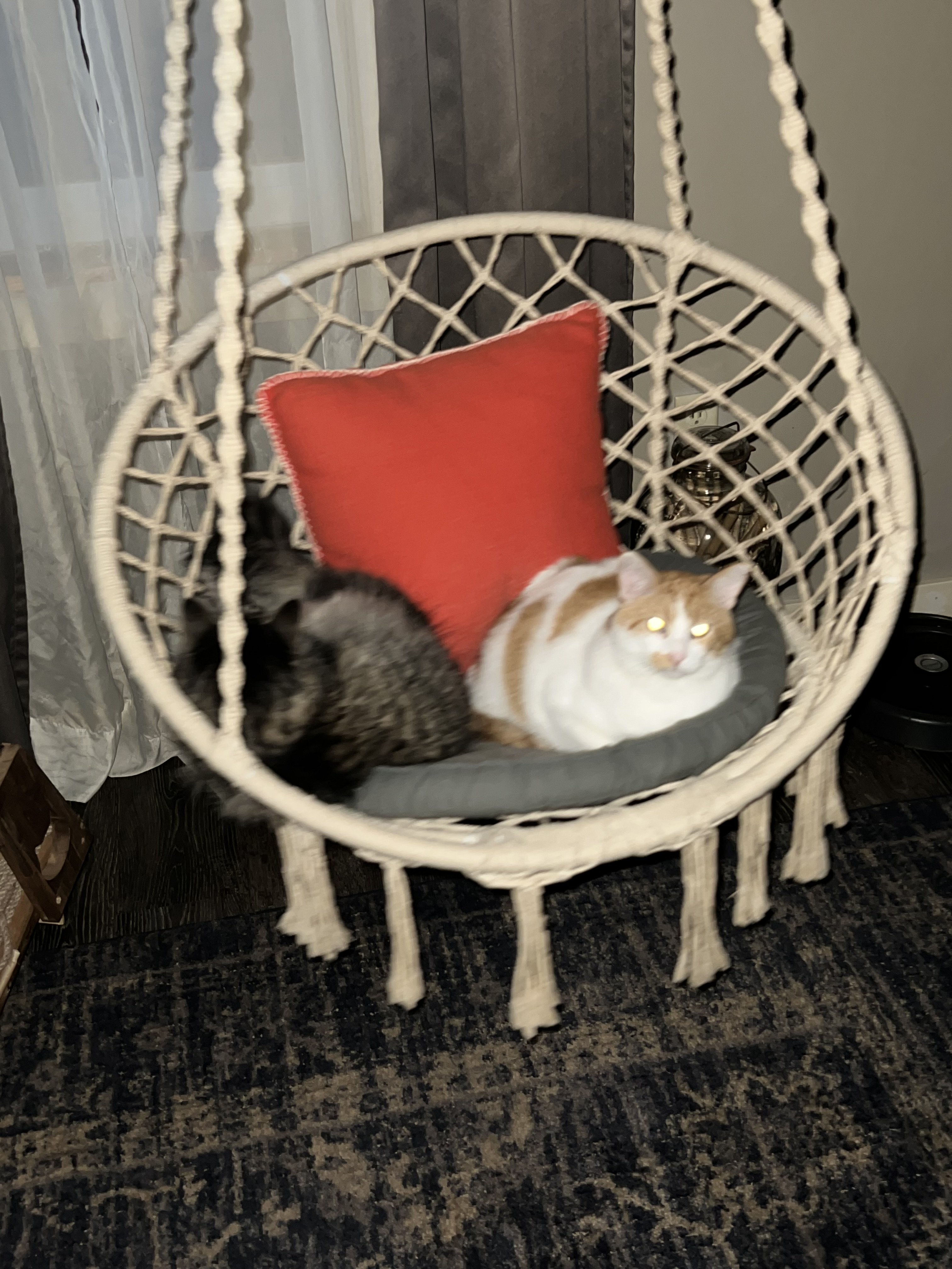 IMG_0928.jpeg