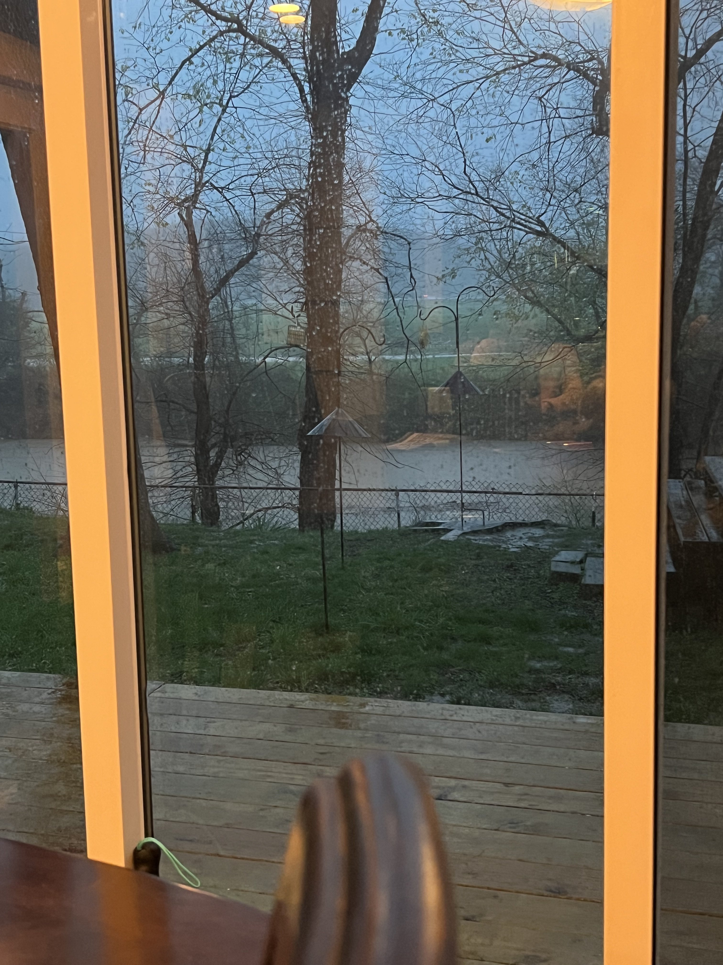 IMG_0982.jpeg