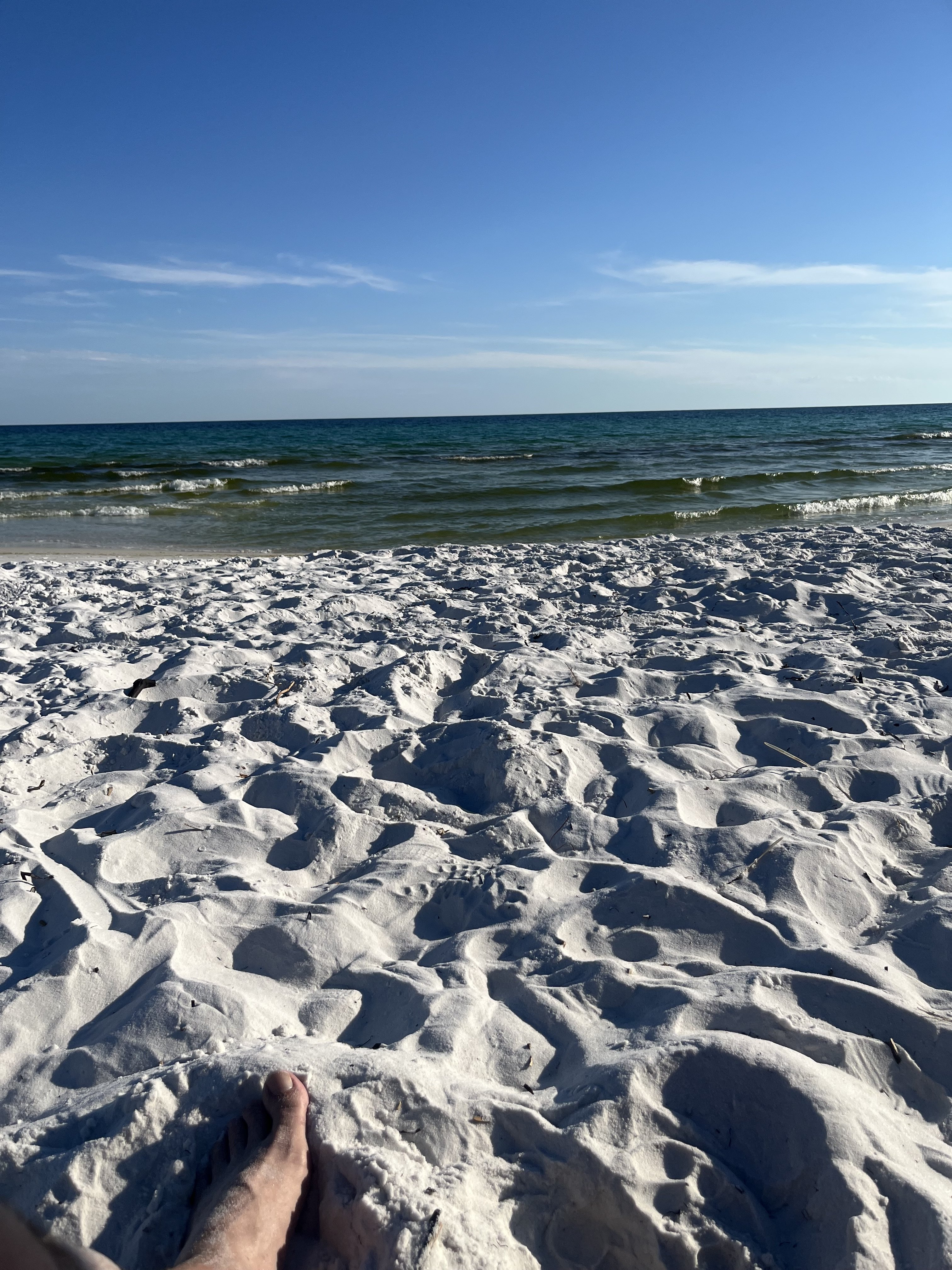 IMG_1010.jpeg