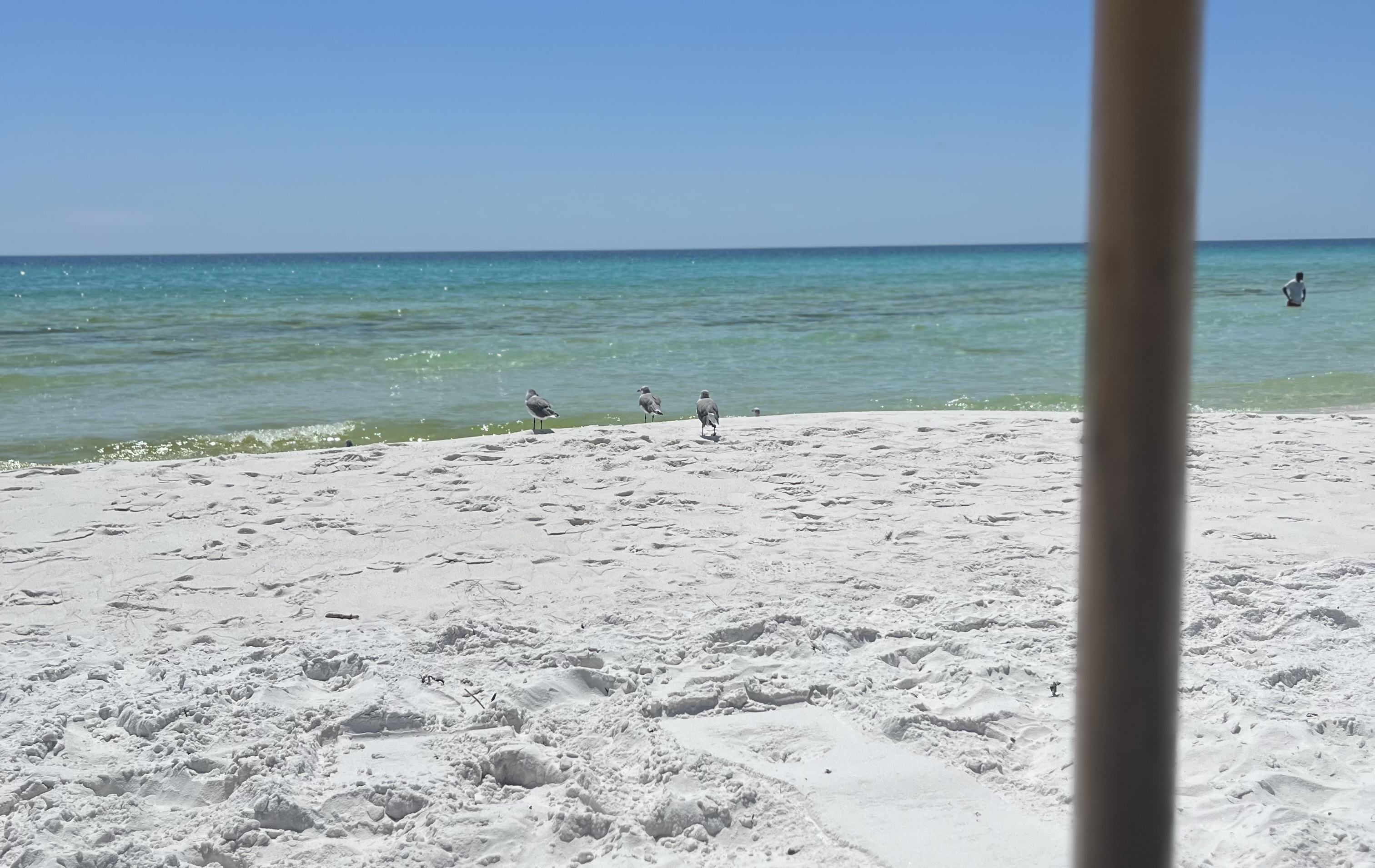 IMG_1079.jpeg