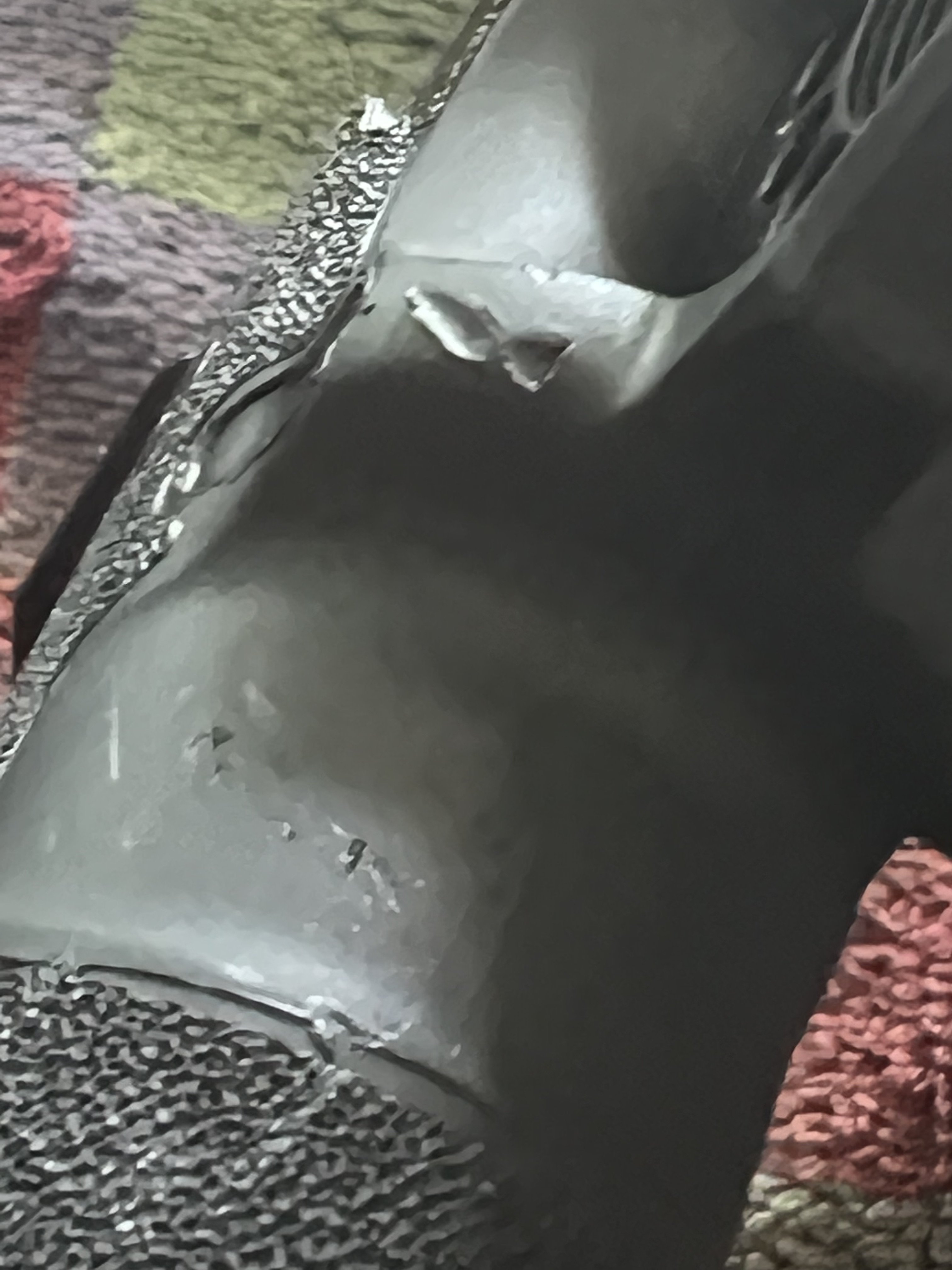 IMG_1341.jpeg
