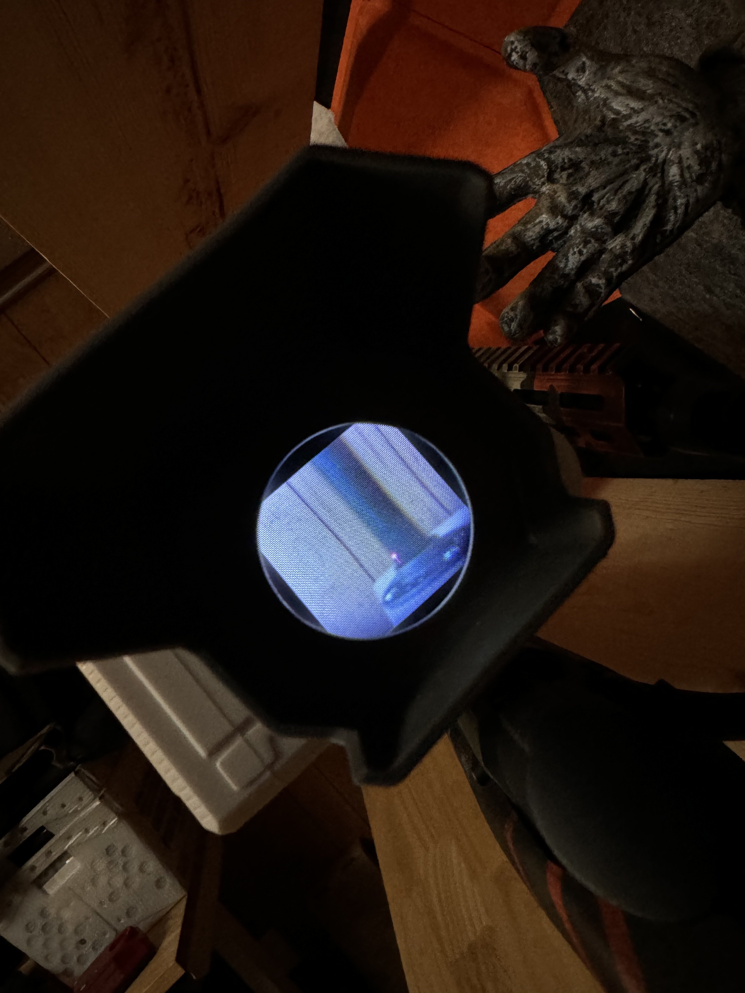 IMG_1343.jpeg