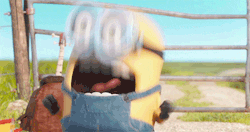IMG_1875.gif
