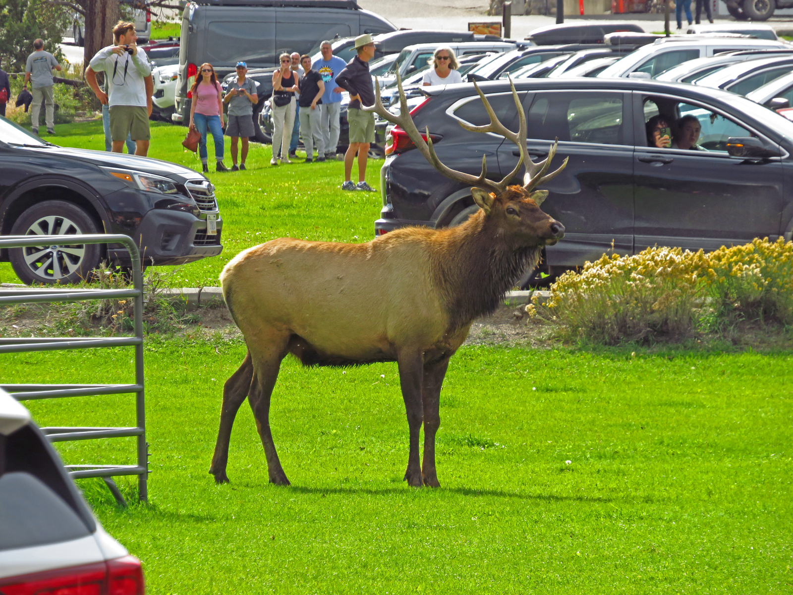 IMG_2692_1.jpg