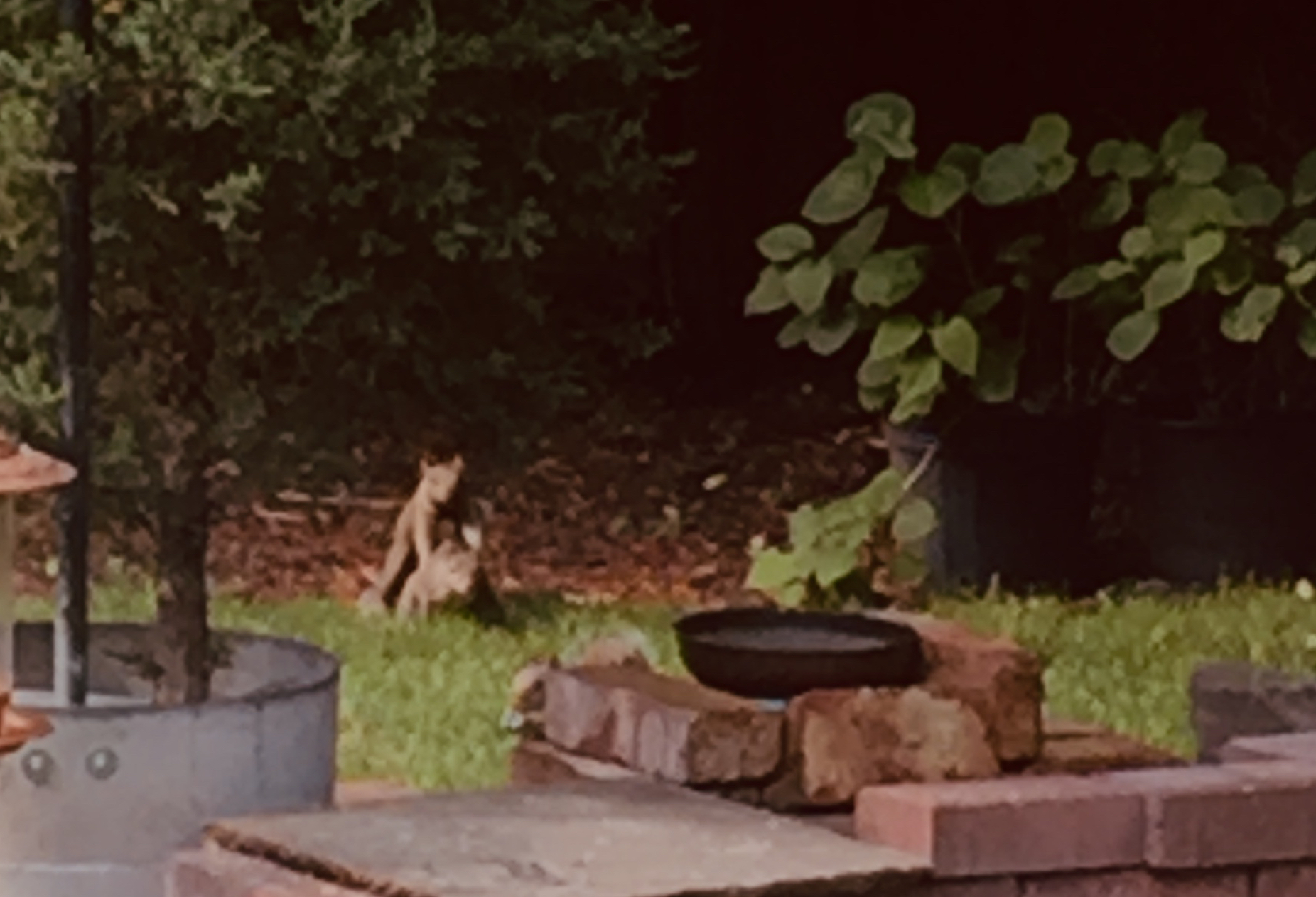 IMG_3215.jpeg