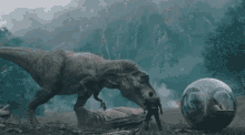 IMG_3367.gif