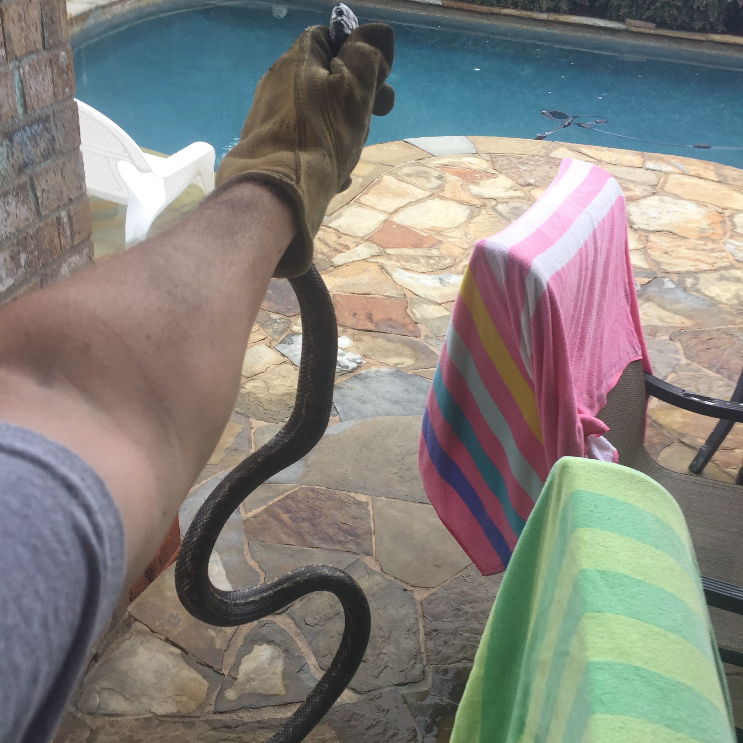 IMG_3958.jpeg