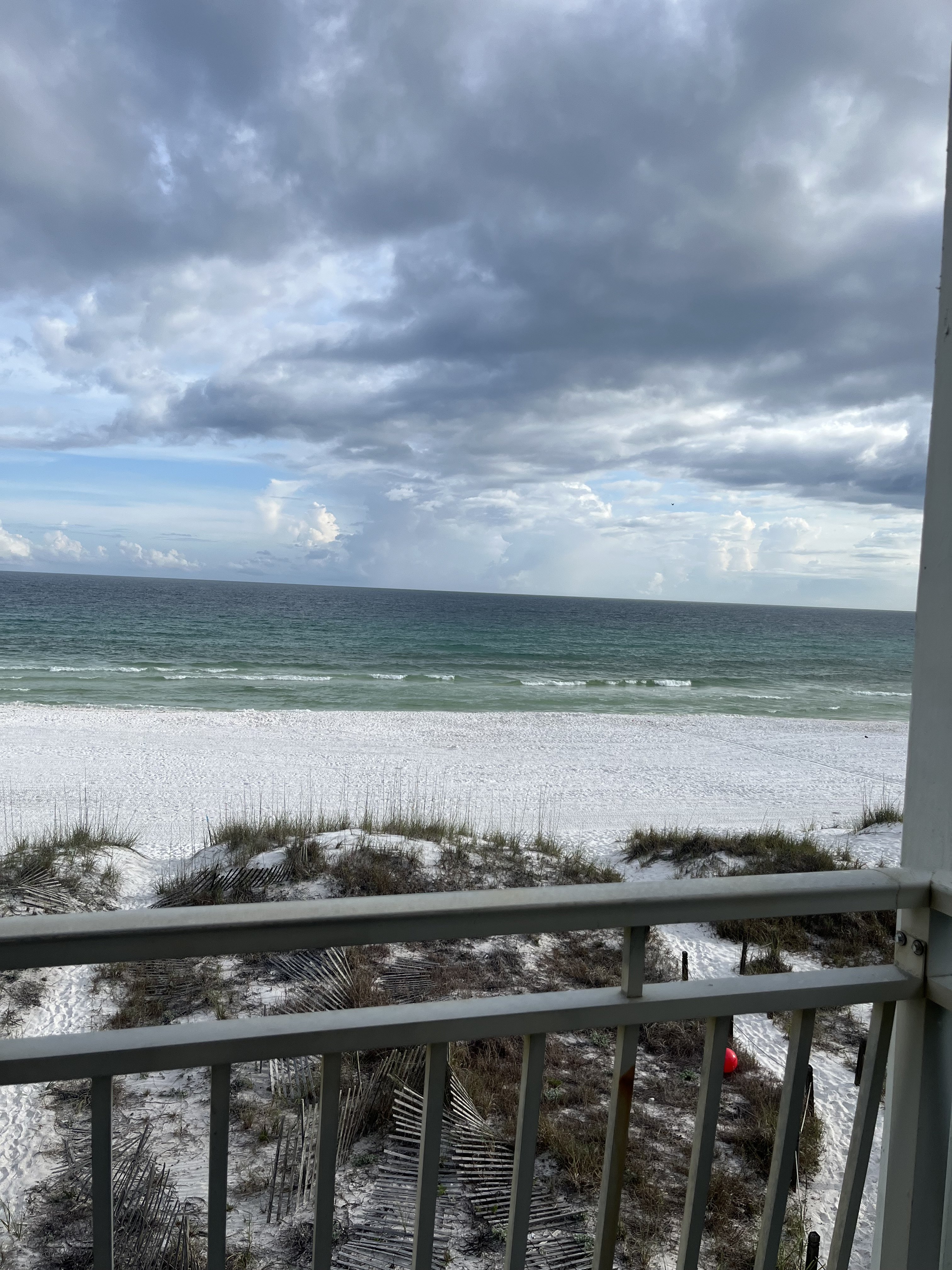 IMG_4237.jpeg