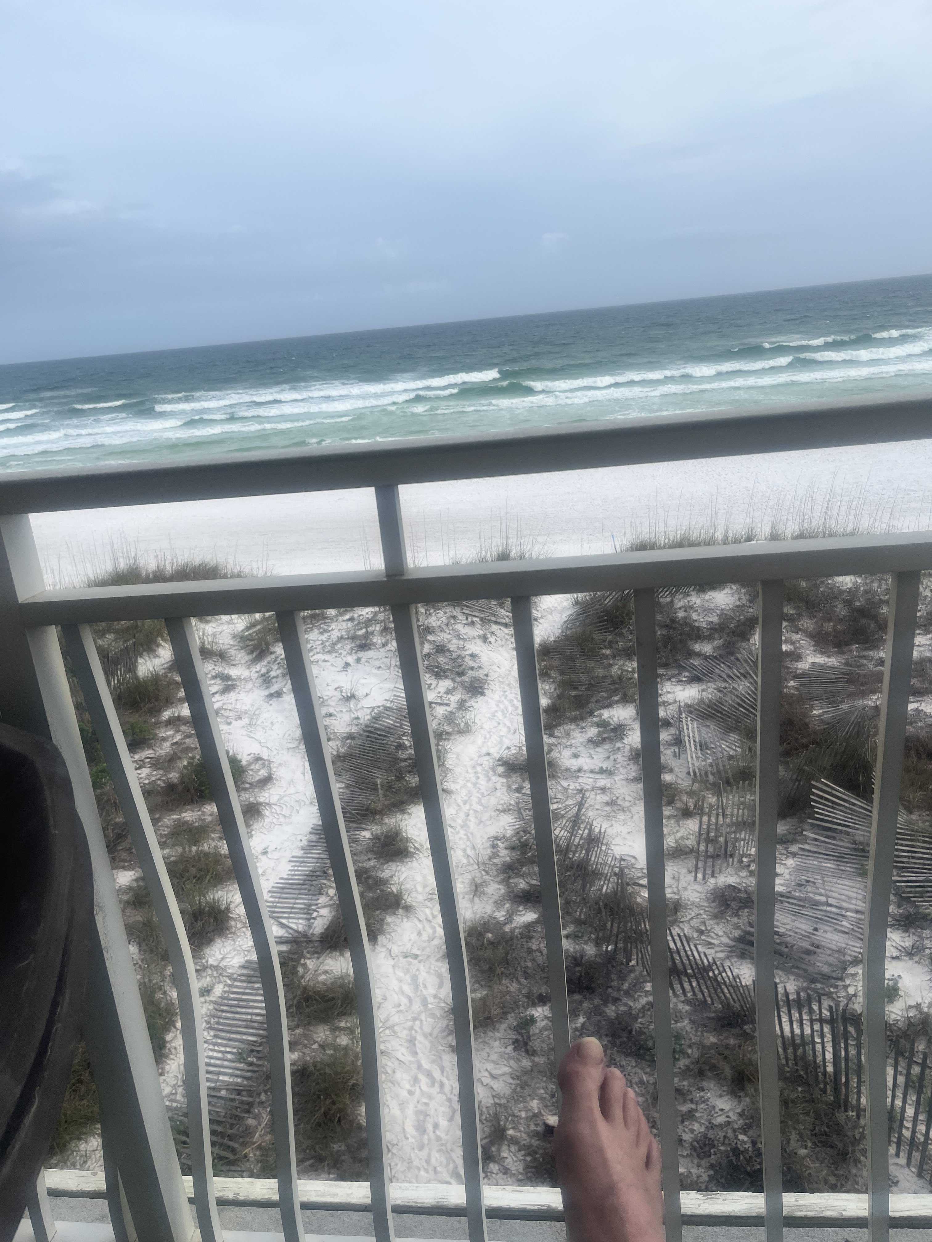 IMG_4261.jpeg