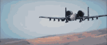 IMG_4272.gif