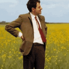 IMG_4332.gif