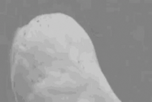 IMG_4363.gif