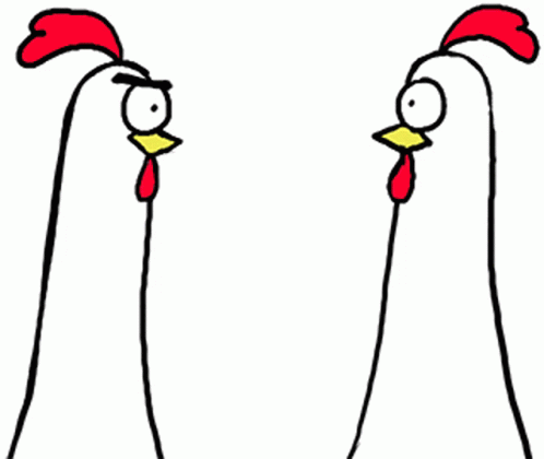 IMG_4403.gif