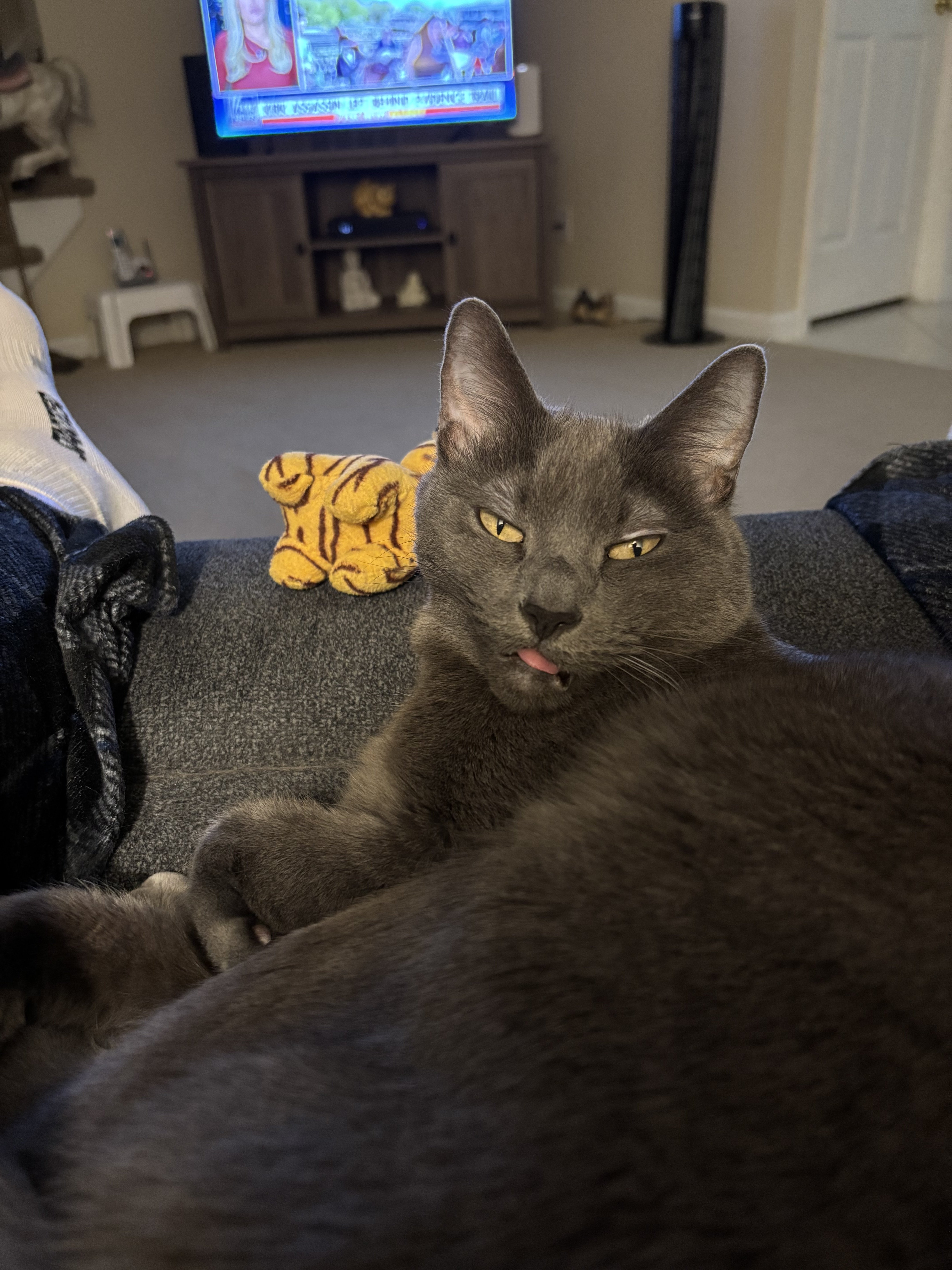 IMG_4709.jpeg