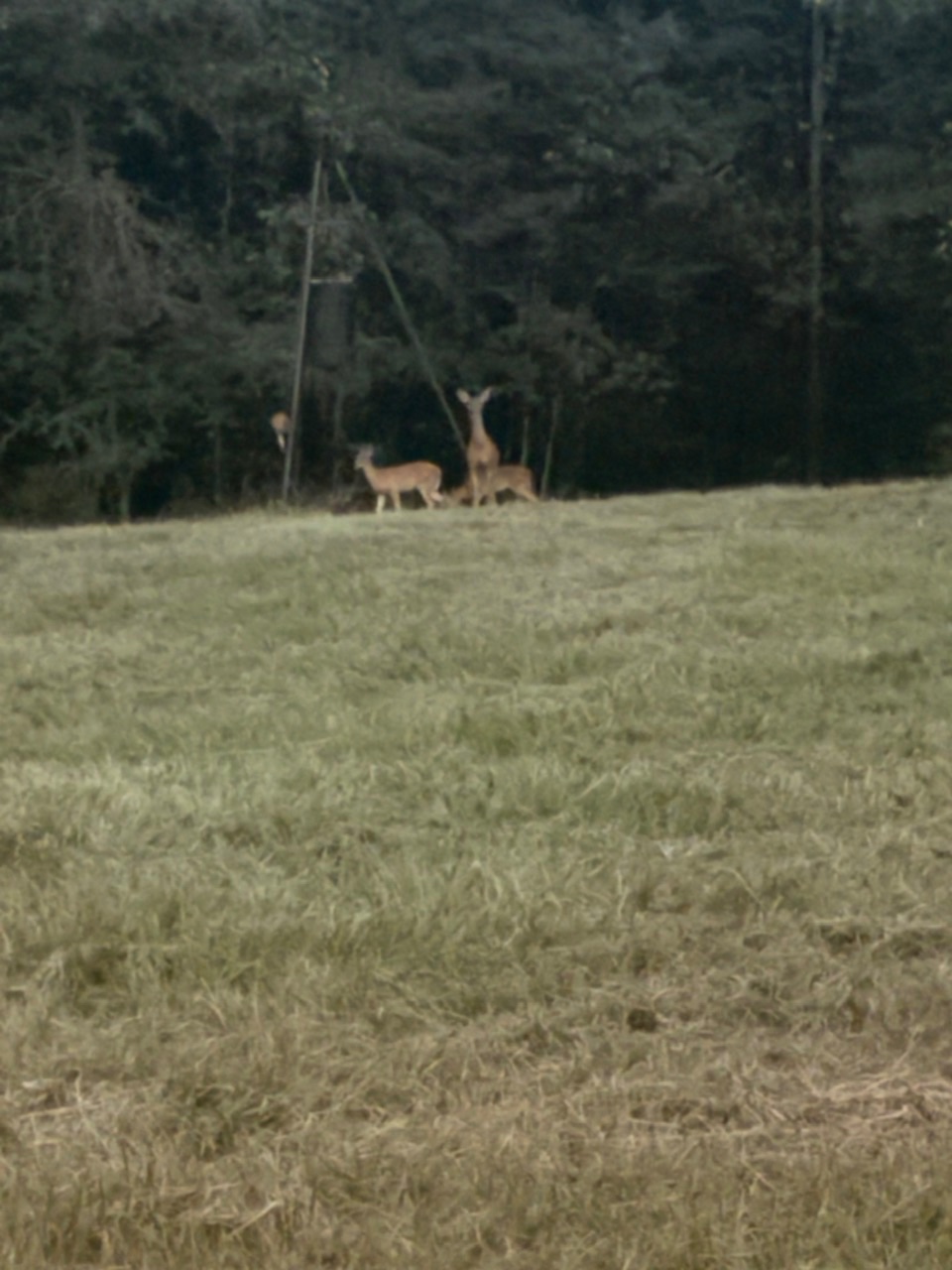 IMG_5085.jpeg