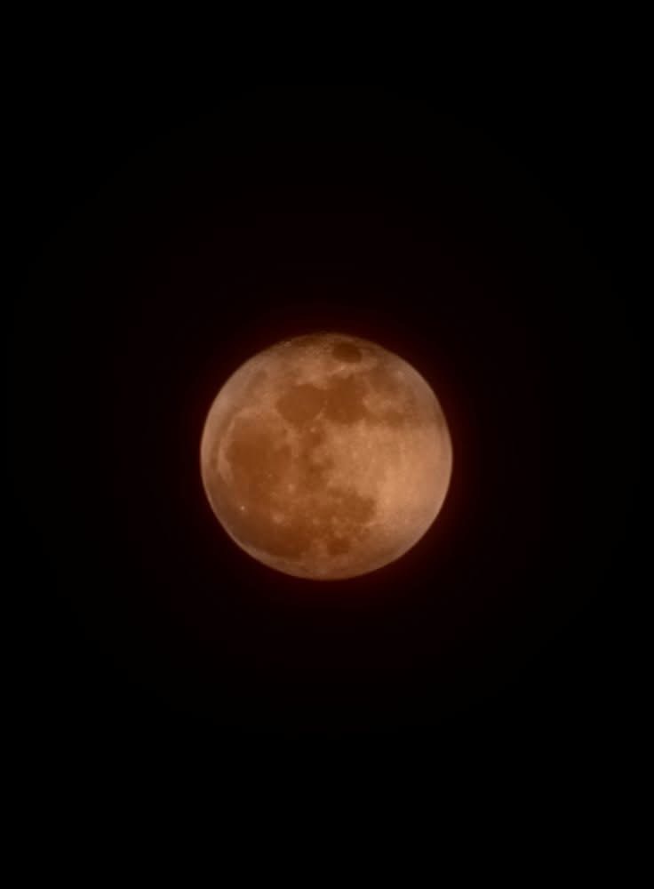 IMG_5207.jpeg