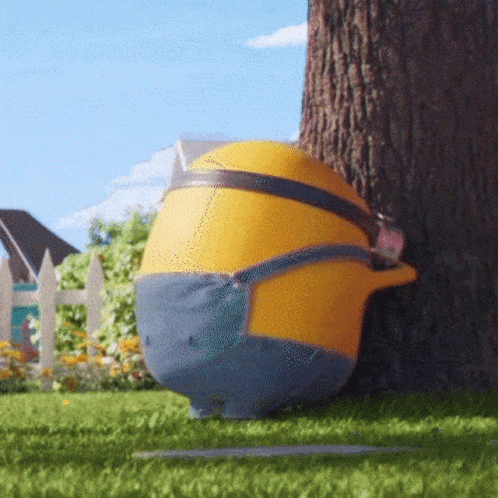 IMG_5424.gif
